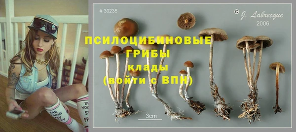 тгк Михайловка