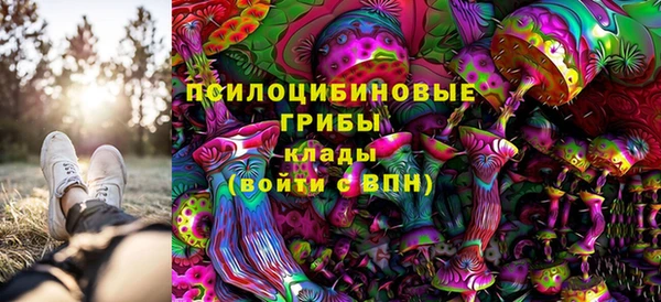 тгк Михайловка