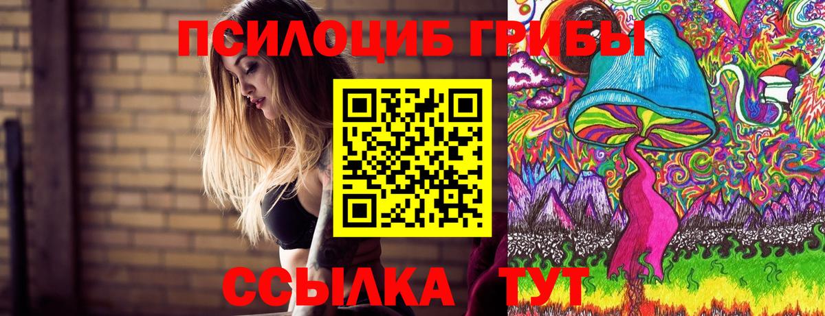 Галлюциногенные грибы Psilocybe Отрадный