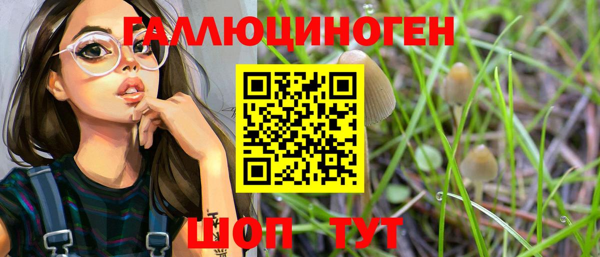 Галлюциногенные грибы Psilocybe  Вход с VPN  Отрадный 